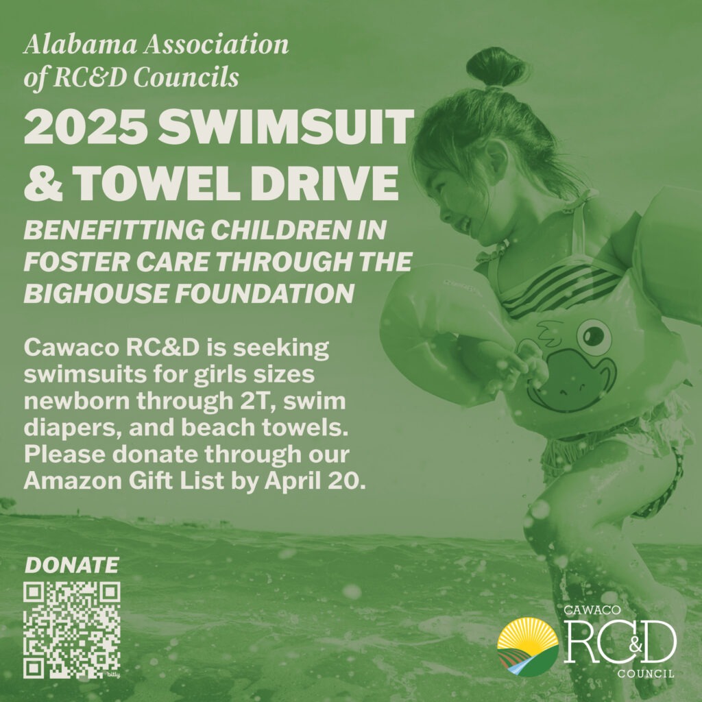 2025 Swimsuit & Towel Drive: Benefitting Children in Foster Care through the BigHouse Foundation