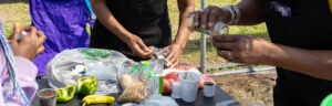 Close-up of hands pulling seeds from old vegetables and planting seeds in reused materials including foam cups, plastic cups, and k-cups
