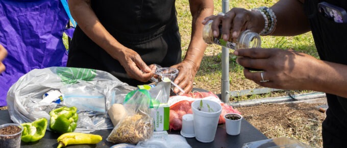Close-up of hands pulling seeds from old vegetables and planting seeds in reused materials including foam cups, plastic cups, and k-cups