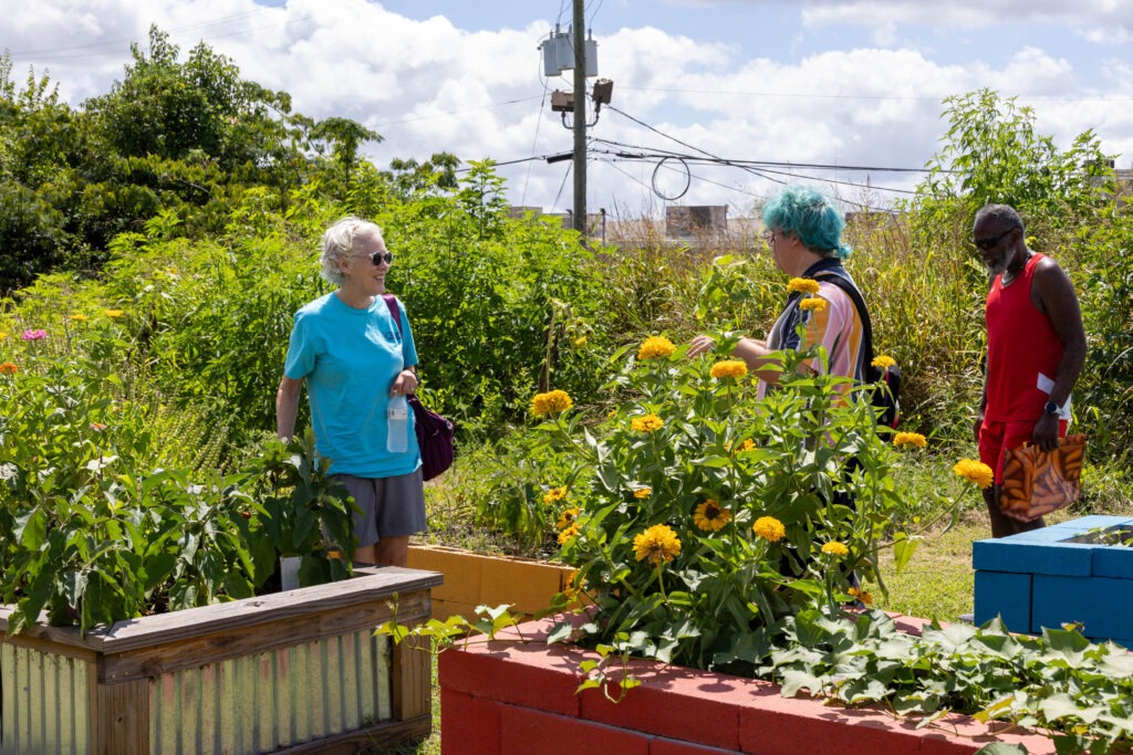 Two people having a conversation in the garden among flowers and vegetables. Another person in the background looking at the garden beds.