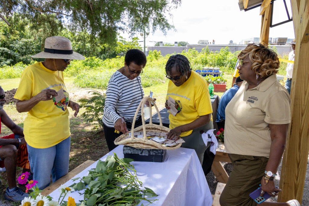 Four women looking at seeds in a picnic basket on a table next to the pavilion 