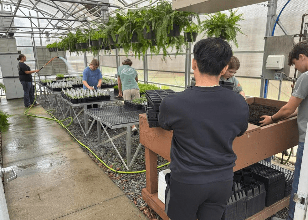 Teens working in a greenhouse. Three teens are working with some soil next to empty planters. Two teens are working with plants that have begun to sprout. One teen waters some sprouted plants