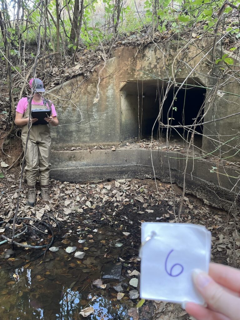 An Auburn University intern in waders stands beside a concrete winged box culvert, recording data on a clipboard during a Stream Crossing Assessment at a dry or low-flow stream crossing.