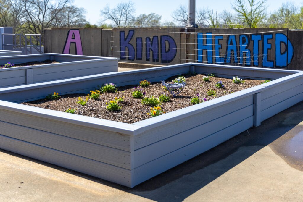 Newly installed gray raised garden beds on the Lovelady Center rooftop, with small flowering plants beginning to grow. A mural reading "A Kind Hearted" is painted on the wall behind them.