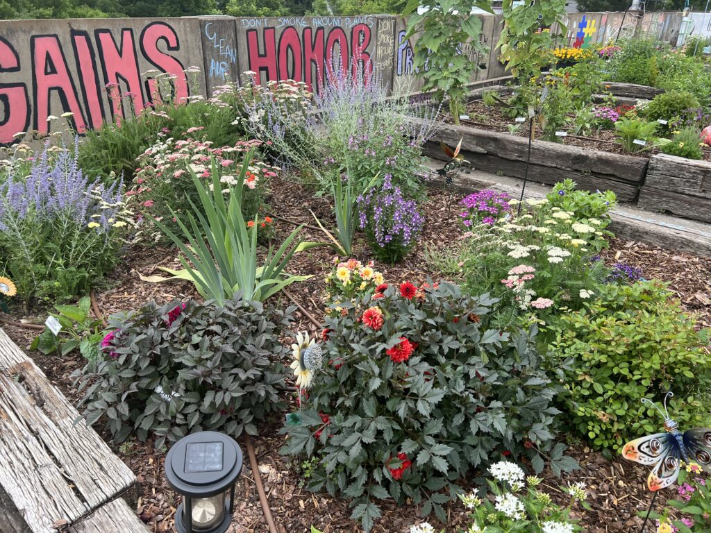 Colorful flower beds at the Lovelady Center rooftop garden, bordered by weathered wooden railroad ties. Hand-painted words including "Honor" and "Gains" are visible on the surrounding walls.