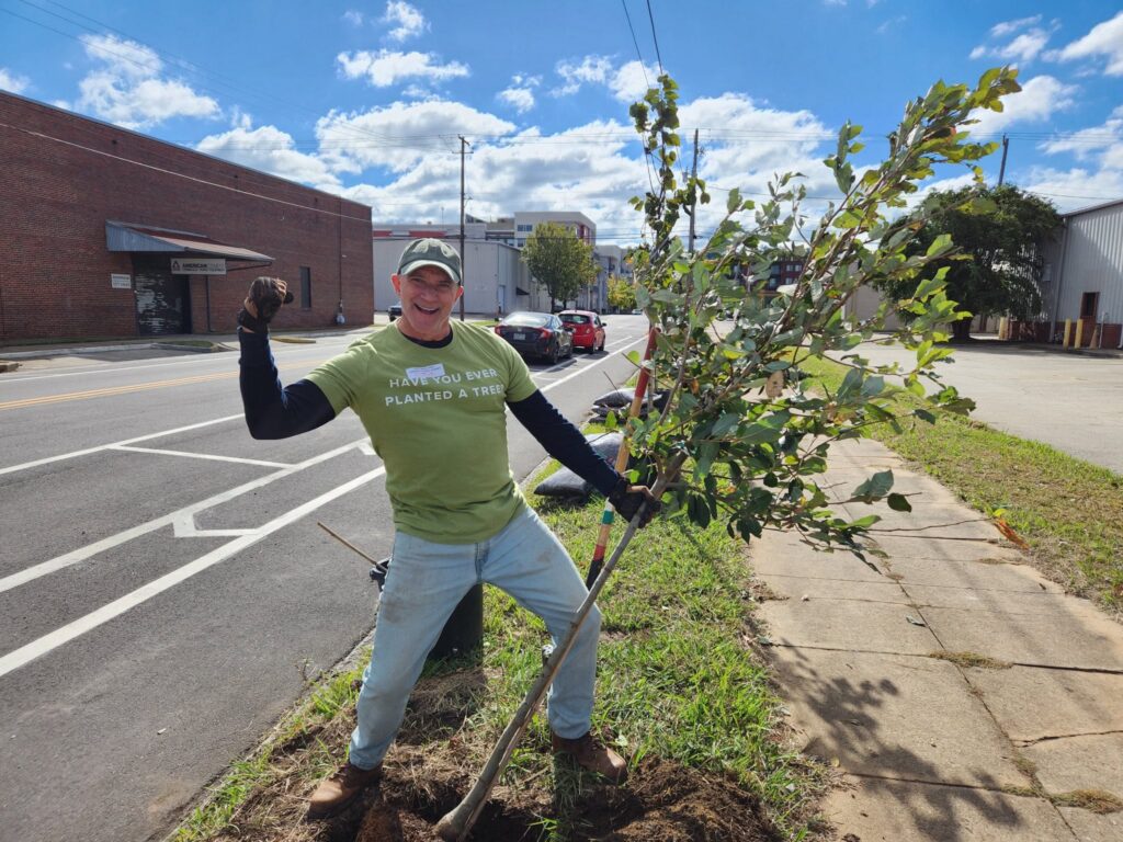 Smiling volunteer in a green “Have you ever planted a tree?” shirt and cap flexes one arm while holding a young tree upright in a freshly dug hole along a tree-lined street median.