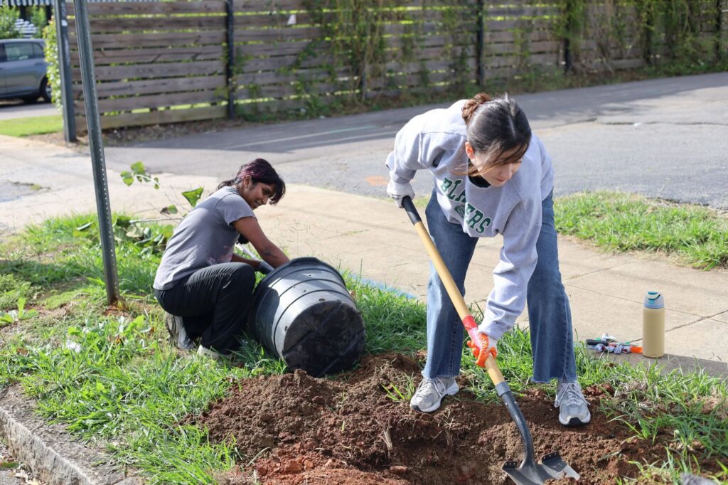 Two volunteers prepare a planting site on a grassy corner: one digs with a shovel into a pile of reddish soil while the other tips a large black nursery pot onto its side.