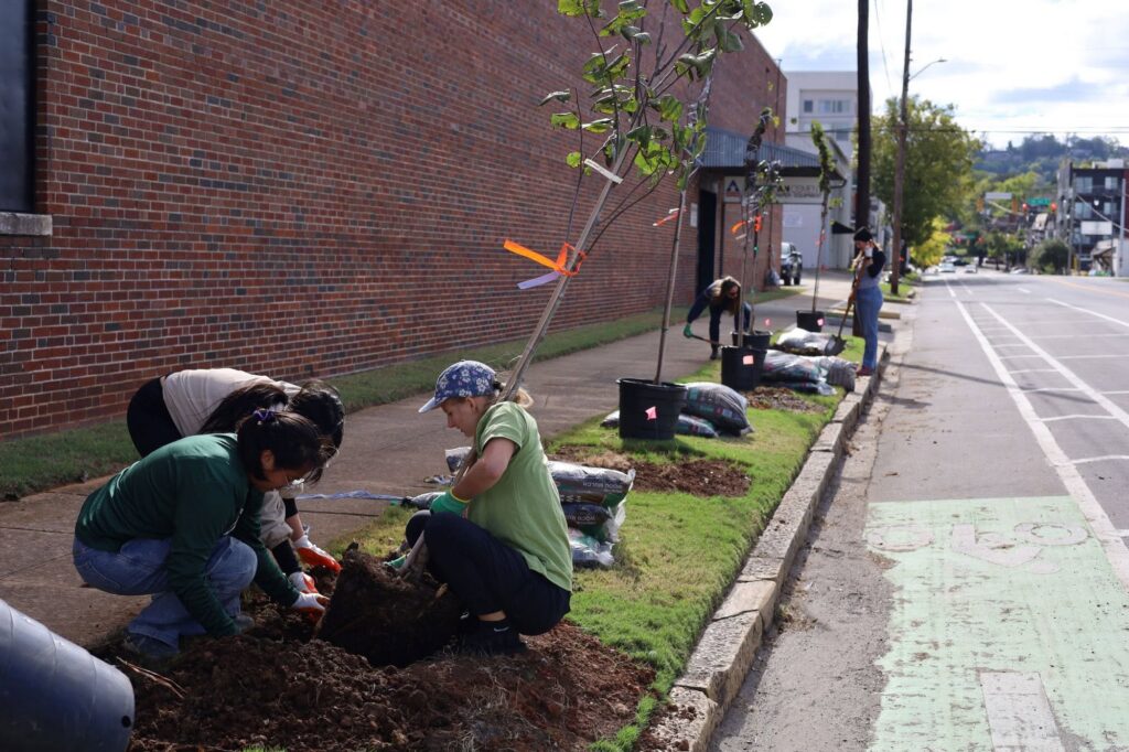Volunteers kneel in the soil to plant a tree beside a brick building, while more young trees in black nursery pots, mulch bags, and other volunteers line the grassy median along a bike lane in the background.